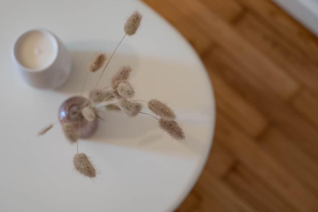 La Praline, Studio Coeur Ville Anse Εξωτερικό φωτογραφία